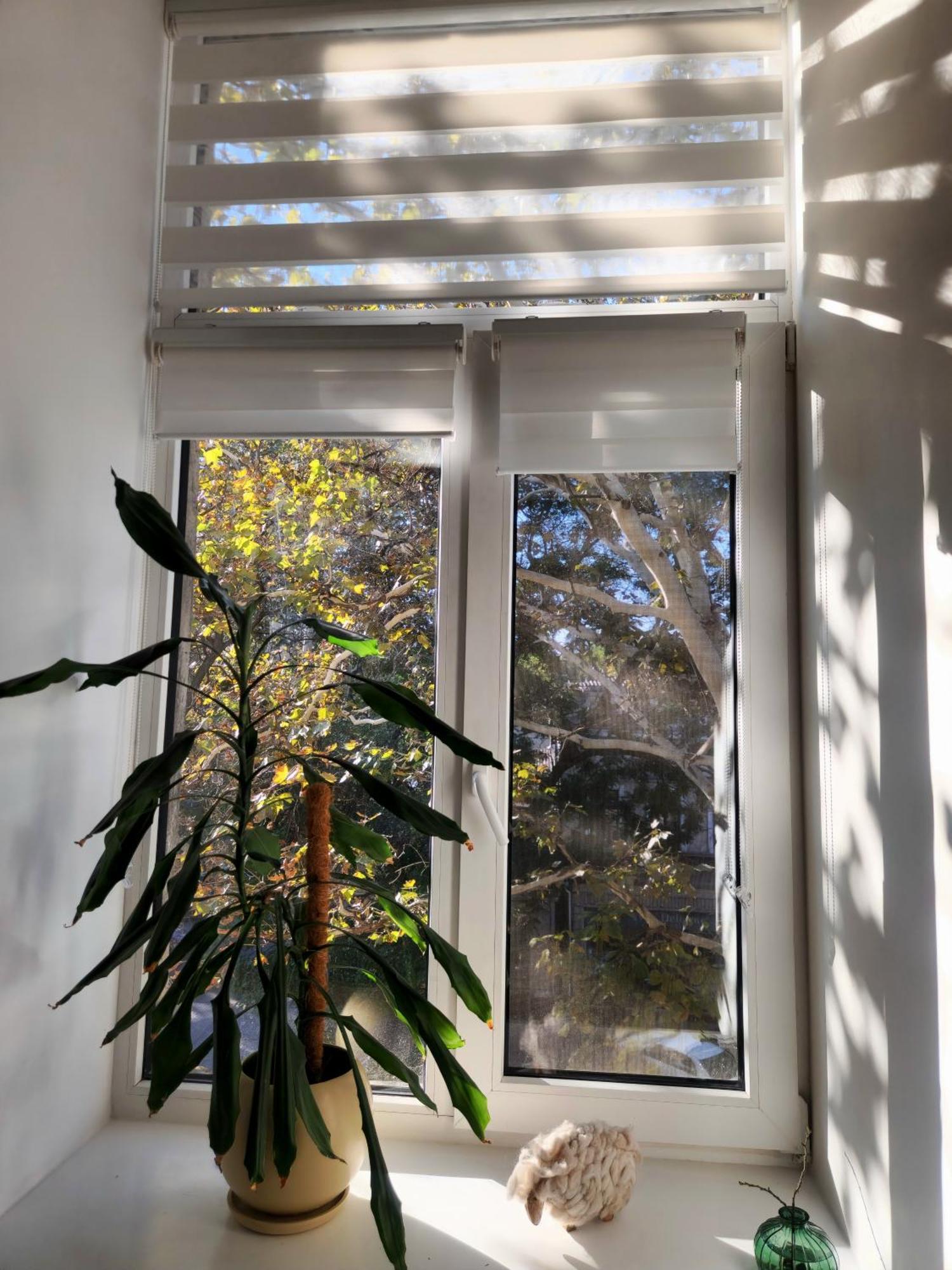 Scandi Group Apartaments Oldenburg Ruang foto
